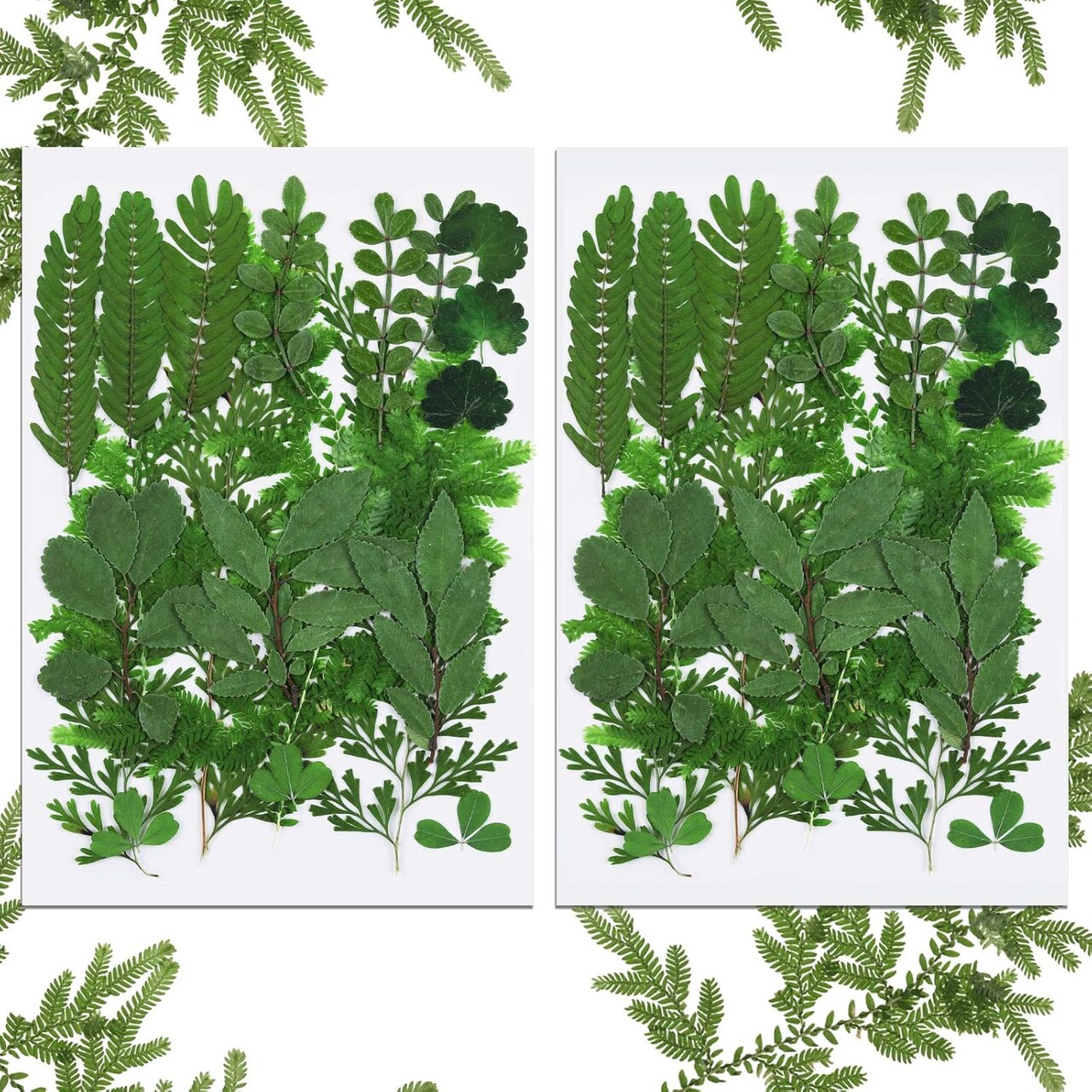 42-Piece Dried Pressed Leaves for Crafts – Real Assorted Greenery for Resin, Leaf Art, Scrapbooking, Home Décor, DIY Embellishments & Creative Projects (7 Styles)